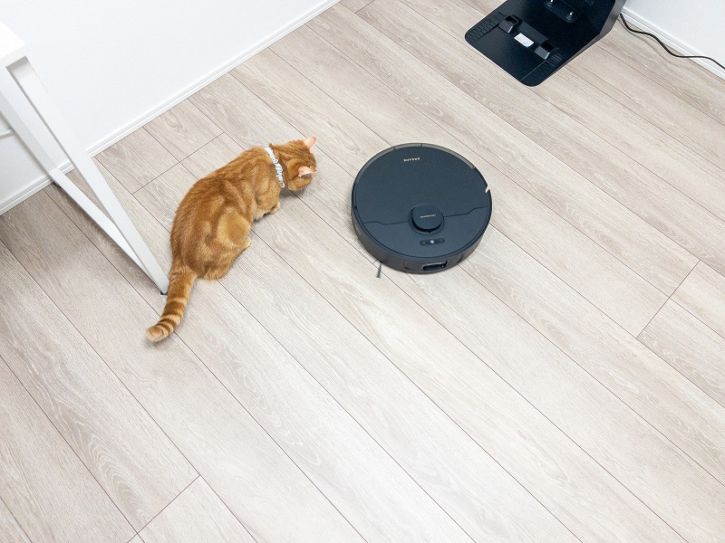 DREMAEbot L10plus seの掃除中