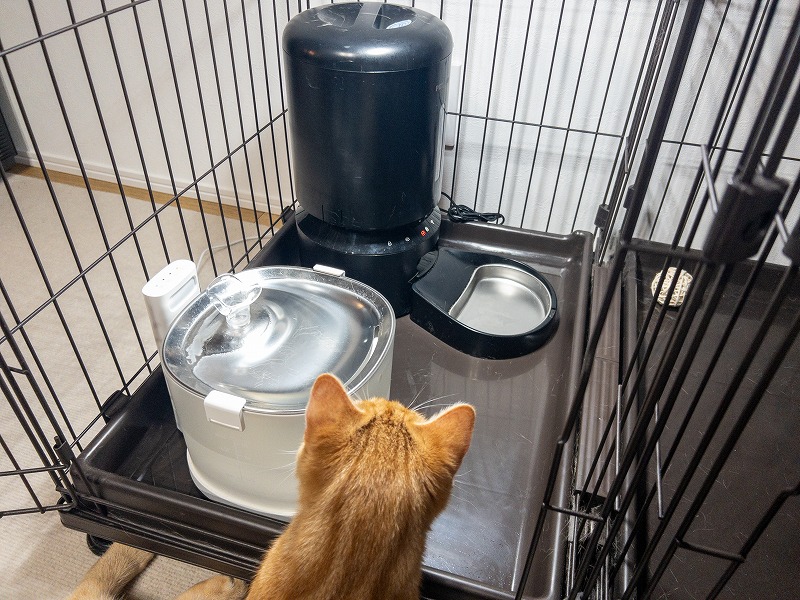 実際に使用している家電と我が家の猫