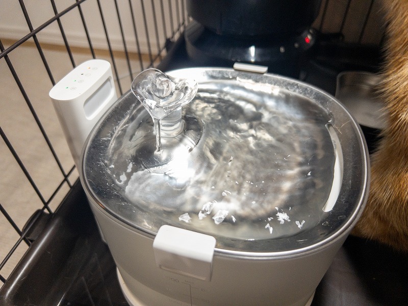 自動給水機の水が出るところの写真