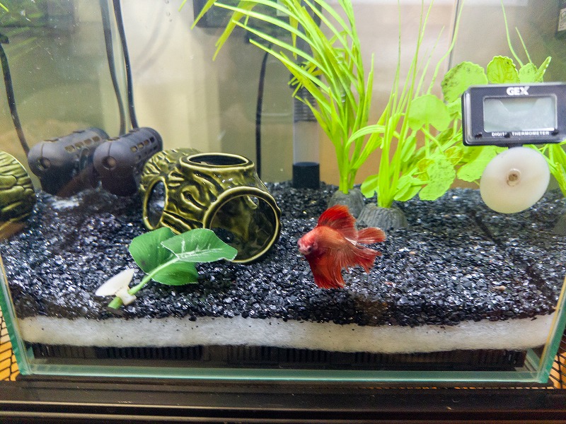 水槽床フィルター